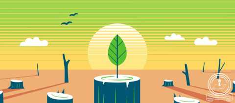 The role of students in faith-based environmental action