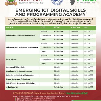 Emerging Ict Digital Skills And Programming Academy