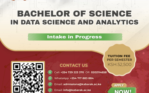 Fully Online Programmes
