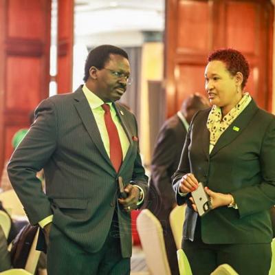 Kcb Mou 6