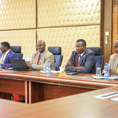 Professor Oluyemisi Adefunke Bamgbose San 9