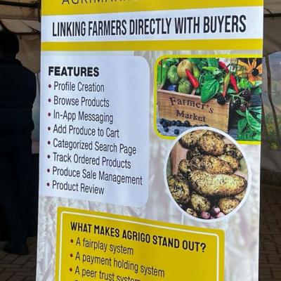 Uoe Innovation Week 5