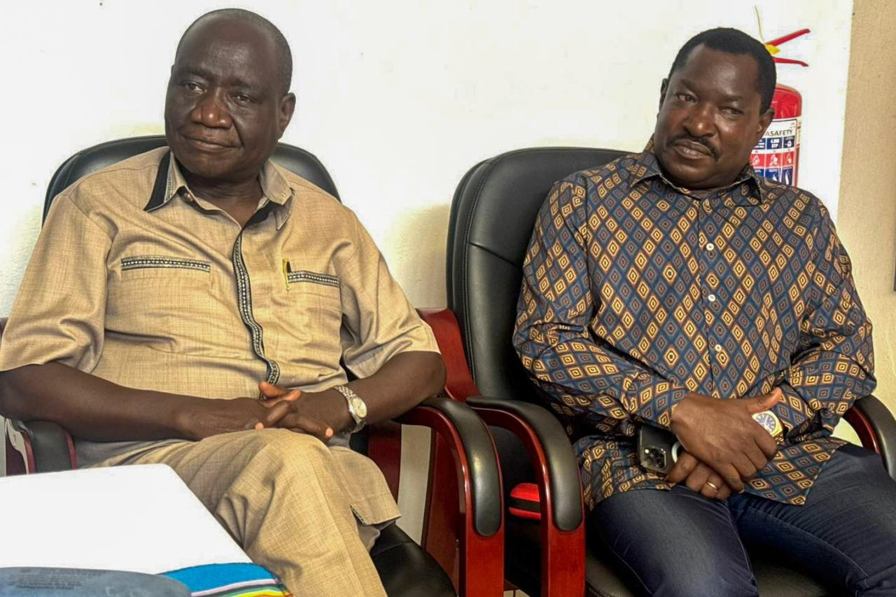 african musicology institute 17