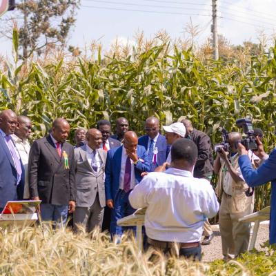 Day 3 Nakuru Ask Show 14